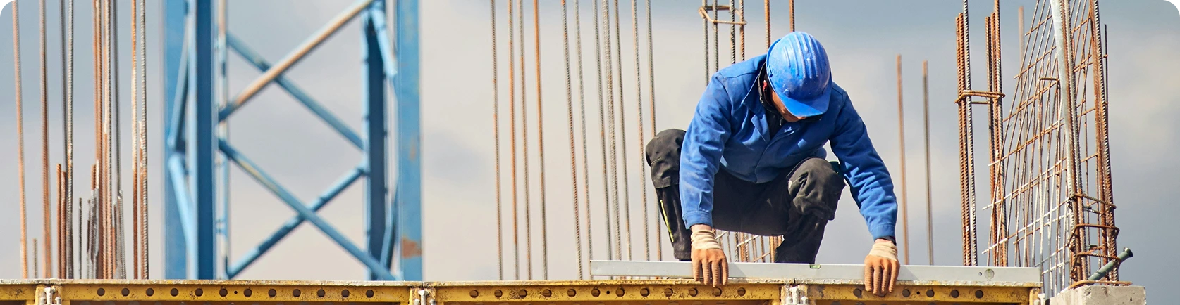 Online survey “Construction Professionals”